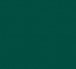 Спортивное покрытие Tarkett OMNISPORTS R35 FOREST GREEN