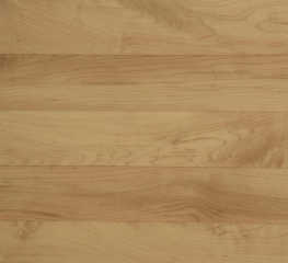 Спортивное покрытие Tarkett OMNISPORTS R83 Maple
