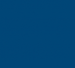 Спортивное покрытие Tarkett OMNISPORTS R35 ROYAL BLUE