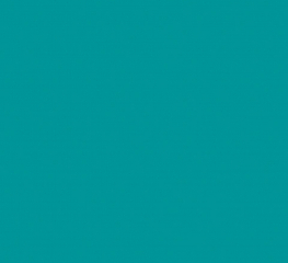 Спортивное покрытие Tarkett OMNISPORTS R65 TEAL