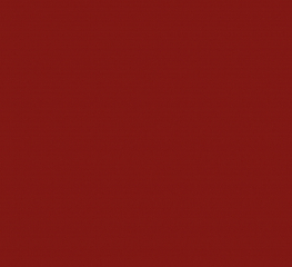 Спортивное покрытие Tarkett OMNISPORTS R65 RED