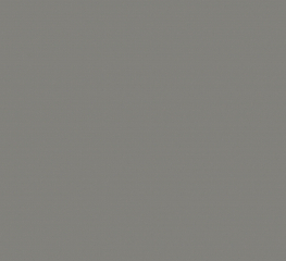 Спортивное покрытие Tarkett OMNISPORTS R65 GREY